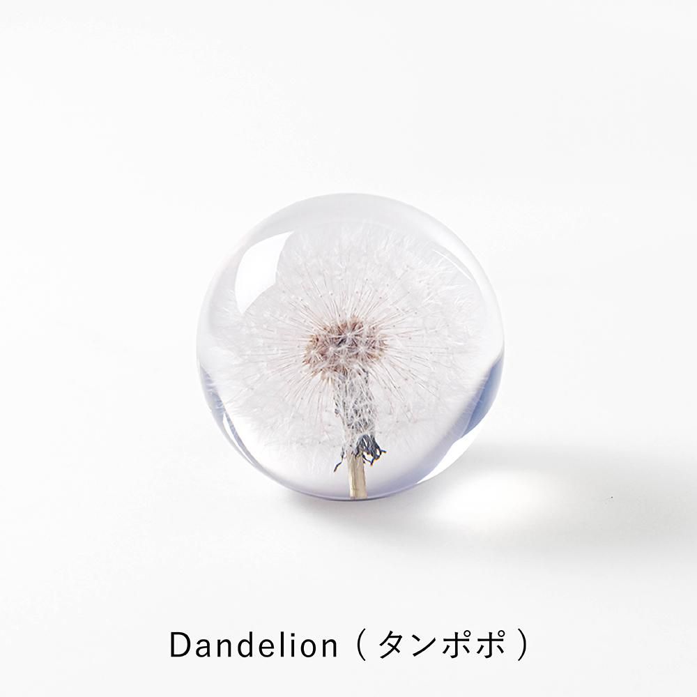 受注生産品】 HAFOD GRANGE Dandelion ペーパーウェイト タンポポ 置物 