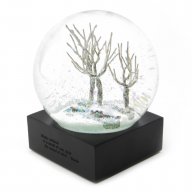 Cool Snow Globes “Winter”