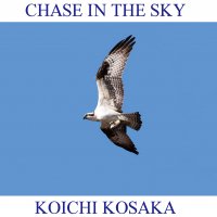 CHASE IN THE SKY