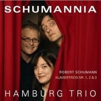 SCHUMANNIA  塼ޥԥλնʽ