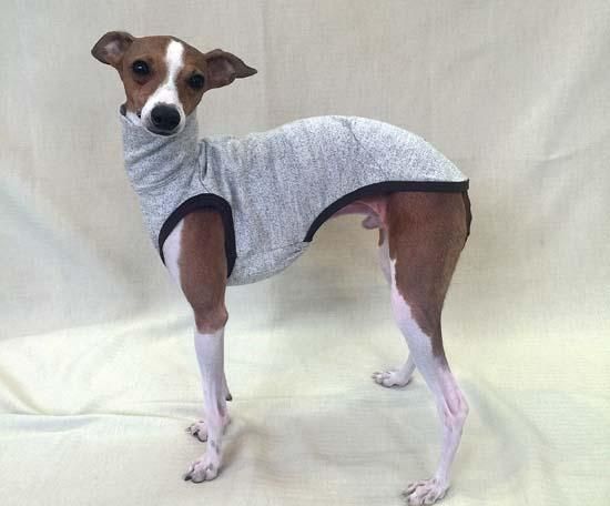 商品のご紹介】イタリアングレーハウンド服 イタグレ服 犬服