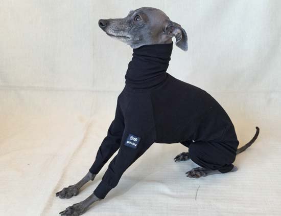 インナーフルスーツ ブラック イタグレ イタリアングレーハウンド の洋服 Grindog