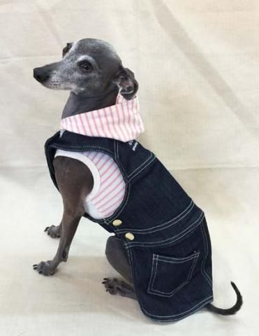 サロペットスカート 10ozインディゴ イタグレ イタリアングレーハウンド の洋服 Grindog サロペットスカート 10ozインディゴ イタグレ イタリアングレーハウンド の洋服 Grindog