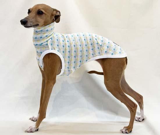 イタグレ☆タンクトップ オーガニックコットンタンクトップ(ネイビー) - イタグレ(イタリアン