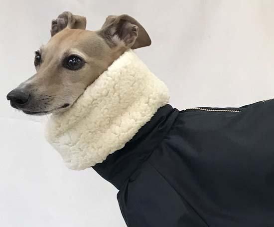 【ご予約品】スノースーツ（ブラック） - イタグレ(イタリアングレーハウンド)の洋服「grindog」