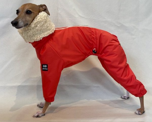 【ご予約品】スノースーツ（オレンジ） - イタグレ(イタリアングレーハウンド)の洋服「grindog」