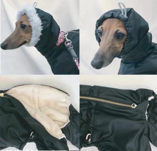 ご予約品】スノースーツ（パープル） - イタグレ(イタリアングレーハウンド)の洋服「grindog」