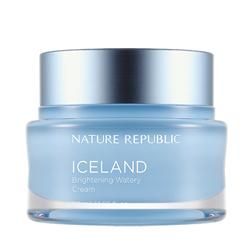 ネイチャーリパブリック アイスランド ブライトニング 水分 クリーム 50ml スキンケア 水分 保湿 韓国コスメのソウルホリック 通販 ネイチャーリパブリック アイスランド ブライトニング 水分 クリーム 50ml スキンケア 水分 保湿 韓国コスメのソウルホリック 通販