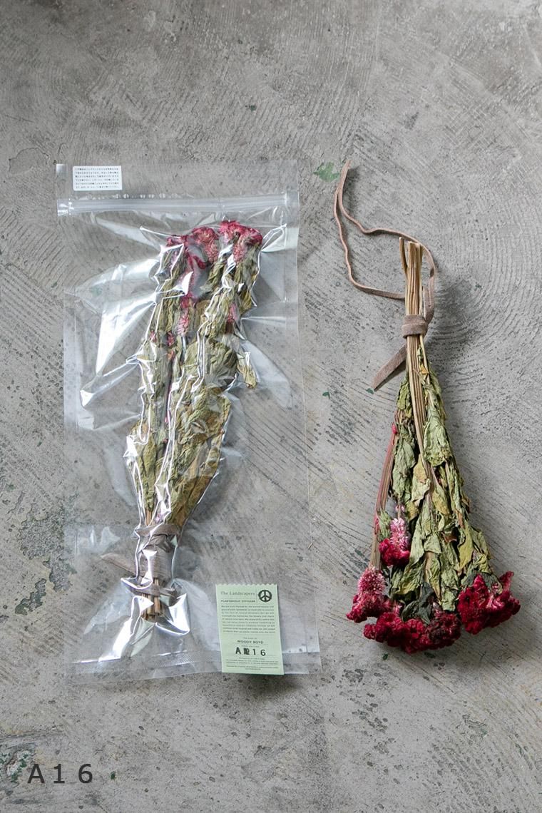 The Landscapers プランタホリックディフューザー