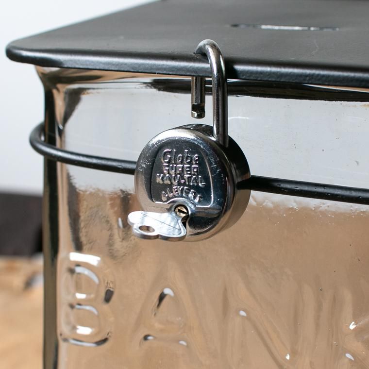 LOWIS COIN BANK