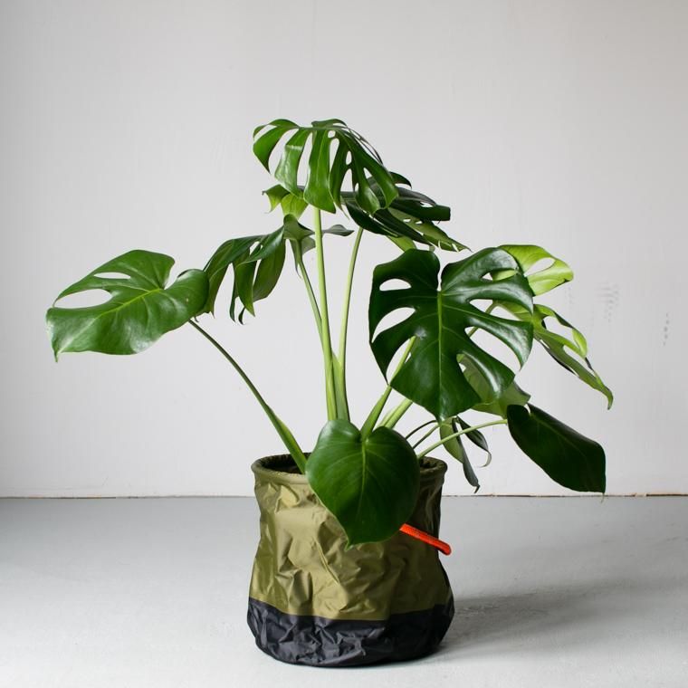 FOLDING BUCKET