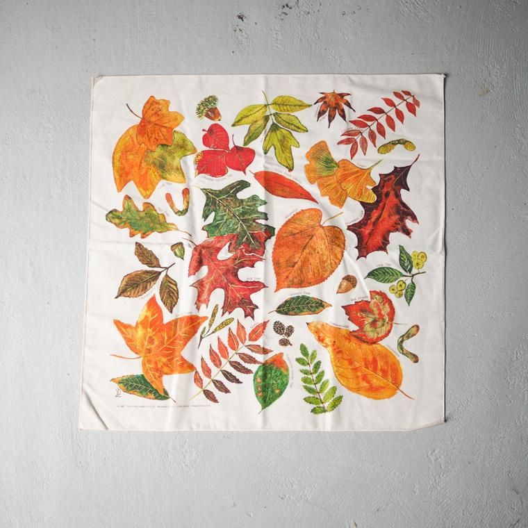 THE PRINTED IMAGE