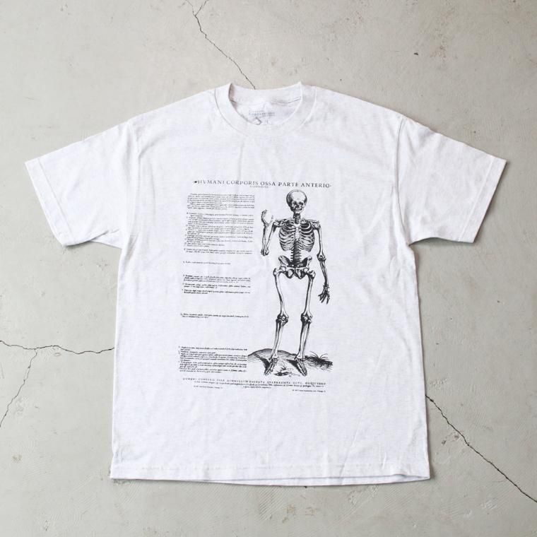 Tシャツ・カットソー BLACK COTTON T-SHIRT Amazon | [ホンダ] 純正部品ロゴ Tシャツ 0SYEP-25V-KM ブラック
