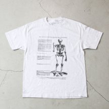 <img class='new_mark_img1' src='https://img.shop-pro.jp/img/new/icons50.gif' style='border:none;display:inline;margin:0px;padding:0px;width:auto;' />Cotton Expressions VASALIUS SKELTON T-SHIRT 졼