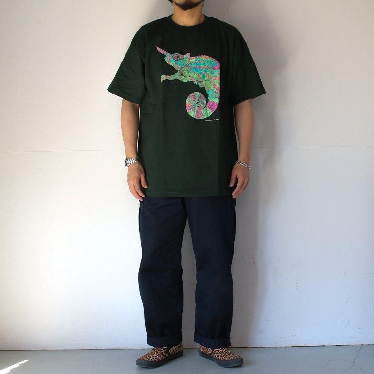 Cotton Expressions CHAMELEON T-SHIRT グリーン