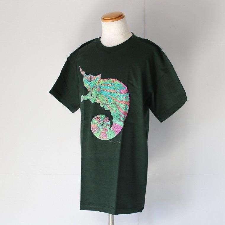 Cotton Expressions CHAMELEON T-SHIRT グリーン