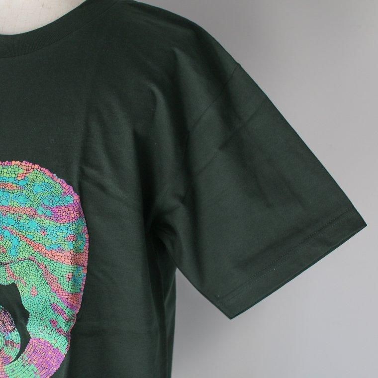 レア　希少　カメレオンズ　the chameleons Tシャツ Lサイズ 黒 COTTON EXPRESSIONS Chameleon カメレオン Tシャツ | VDS BIRDS EYE