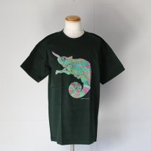 <img class='new_mark_img1' src='https://img.shop-pro.jp/img/new/icons14.gif' style='border:none;display:inline;margin:0px;padding:0px;width:auto;' />Cotton Expressions CHAMELEON T-SHIRT ꡼