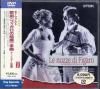 DVD ⡼ĥȡեη뺧Υ󥯡塼ҡ 硼(Br) ¾ /L TDBA00222DVD̤