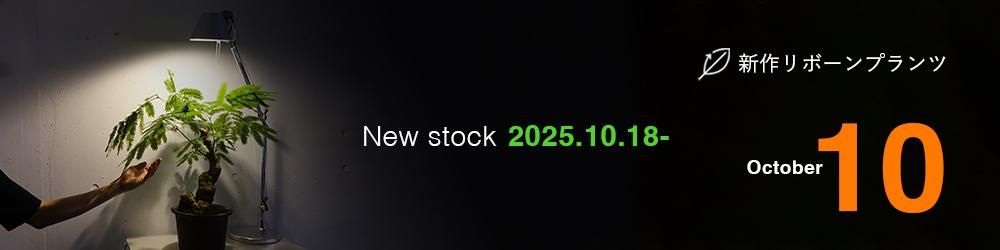 NewStock