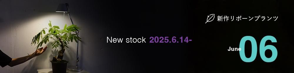 NewStock