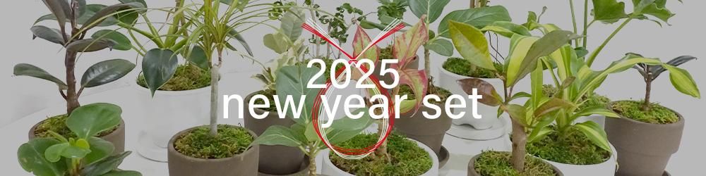 newyear2025