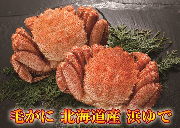 毛がに 北海道産 浜ゆで 400g×２尾 - 稚内 かに通販｜最北の魚屋 うろこ市 －海鮮炉端 うろこ亭－