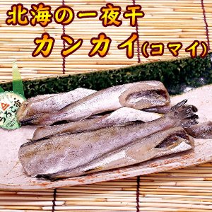 一夜干 カンカイ コマイ 0ｇ 稚内 かに通販 最北の魚屋 うろこ市 海鮮炉端 うろこ亭