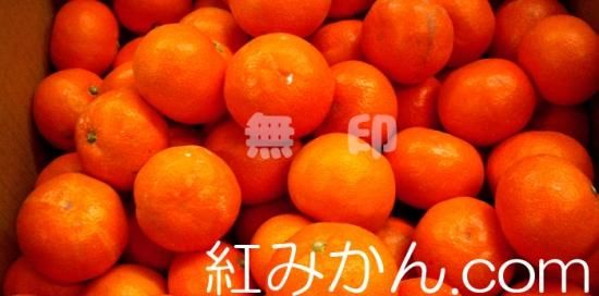 さんみかん☆プロフお読み下さい 楽天市場】お中元 夏ギフト 和歌山みかんジュース 2種 ゆら