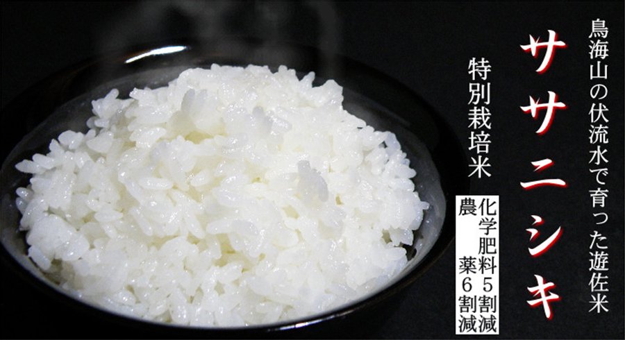 特別栽培米ササニシキ