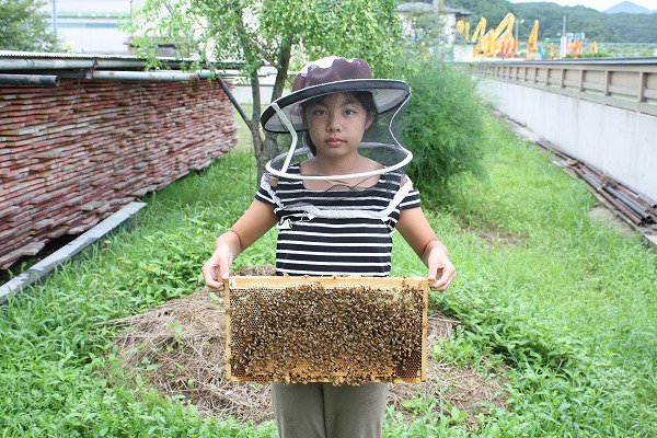 アカシア蜂蜜ピッチャー入 250ｇ - 秋田のはちみつ屋 小松養蜂場