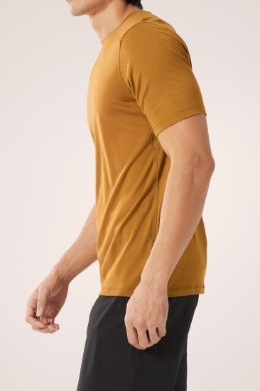 ARC'TERYX ARC'TERYX(アークテリクス) Ionia Merino Wool SS