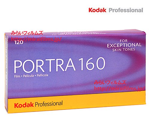 中判フィルム Kodak PORTRA 160 120と220の10本セット