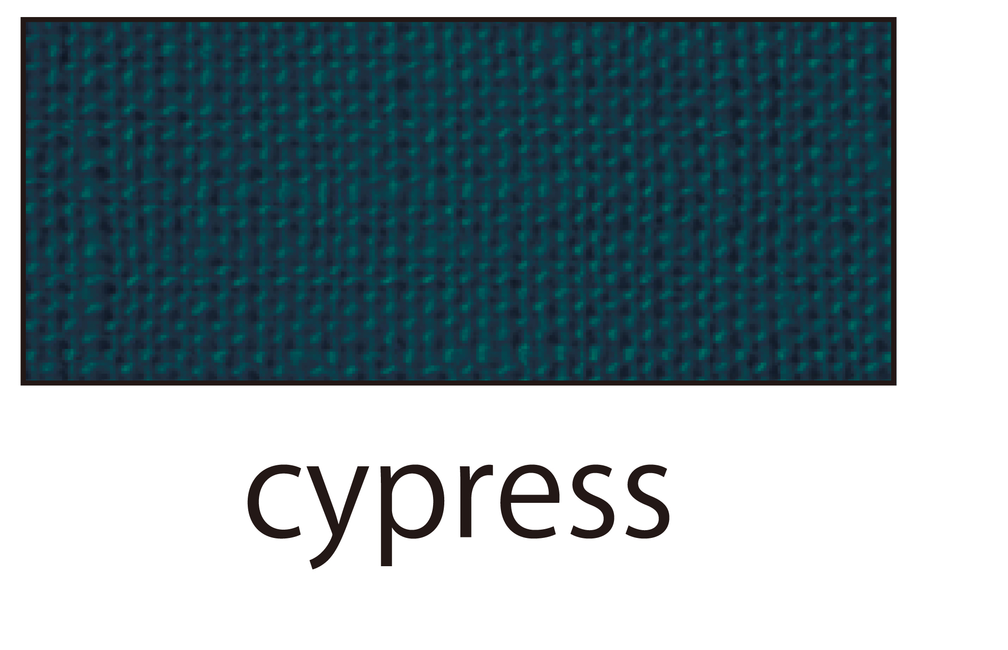 cypress