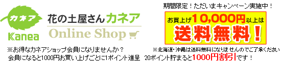 大量購入 10セット 園芸用 腐葉土 培養土の販売 通販 花の土 カネア