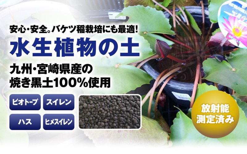 九州・宮崎県産の焼き黒土１００％使用！水生植物の土