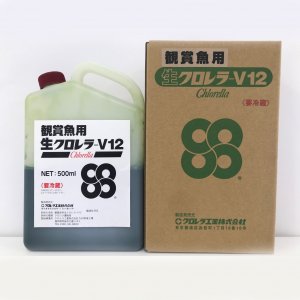 生クロレラV12（500ml）オンライン限定販売 - 観賞魚・熱帯魚の飼料