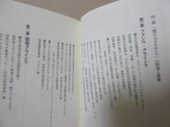 原発・放射能クライシス このままでは日本が滅ぶ リーダーズ