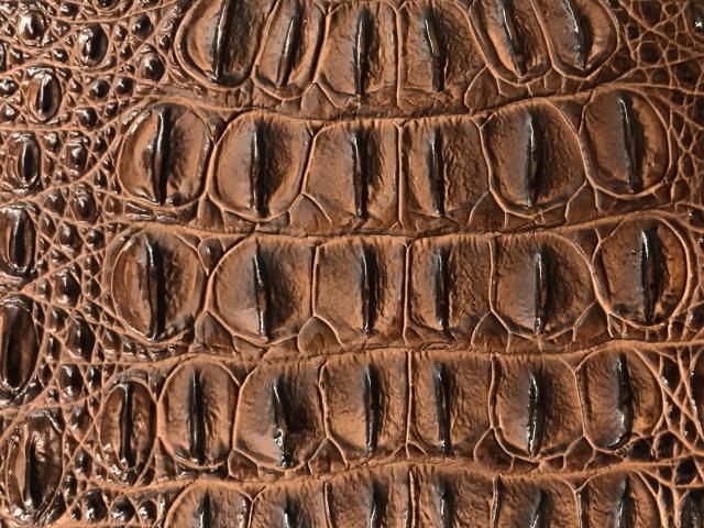 クロコダイル 背ワニ革 レザーベルト【bordeaux/ボルドー】3.5cm