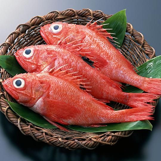 開きキンキ（200g～290g） - 丸北北都 -オホーツク 網走・知床