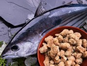 犬猫の肝臓病・肝臓ケアにおすすめのお魚「嵐山鮮魚　かつおパラパラミンチ 300g」