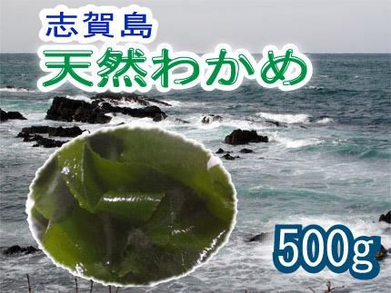 冷凍 志賀島産 天然わかめ 500g 犬猫の手作りご飯食材 無添加ペットフード 鮮魚の通販ショップ さかい企画の プライムケイズ