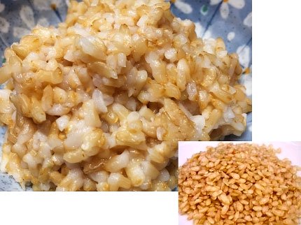 犬猫の手作りご飯（主食）「九州産発芽玄米」