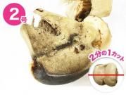 特選牛の骨 よかボーン ハーフカット2号 (600g〜799g)