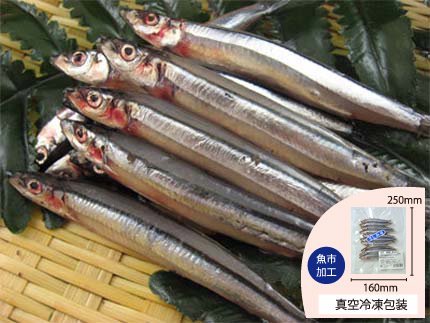 【冷凍】嵐山鮮魚　きびなご　- 犬猫の手作りご飯食材・鮮魚の通販ショップ - さかい企画の【プライムケイズ】