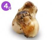 ι褫ܡ4 (1000g1299gޤ)