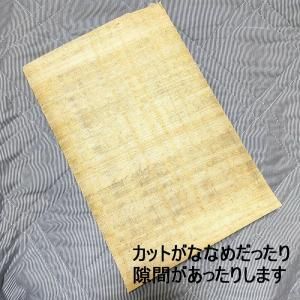 ��B�ʡۥѥԥ륹�桡̵�� �֥��1���A4�ˡڥ᡼����OK����