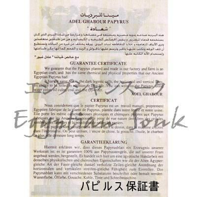 中東で購入した額入りパピルスの絵 中東で購入した額入りパピルス