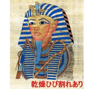 <img class='new_mark_img1' src='https://img.shop-pro.jp/img/new/icons1.gif' style='border:none;display:inline;margin:0px;padding:0px;width:auto;' />��B�ʡۥѥԥ륹���� A4���������ĥ��󥫡����  OP�ǳ��ա�ñ�ʤϥ᡼����OK�����դ�������ؤΤߡ�