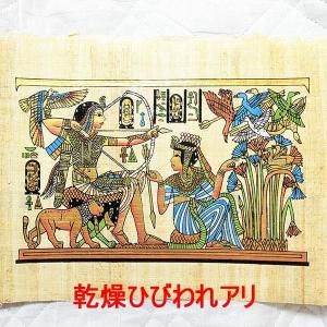 <img class='new_mark_img1' src='https://img.shop-pro.jp/img/new/icons1.gif' style='border:none;display:inline;margin:0px;padding:0px;width:auto;' />��B�ʡۥѥԥ륹���� A4���������ĥ��󥫡�����׺ʤγ�����OP�ǳ��ա�ñ�ʤϥ᡼����OK�����դ�������ؤΤߡ�